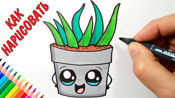 Алоэ рисунок милый