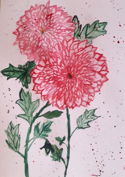 Хризантемы цветными карандашами