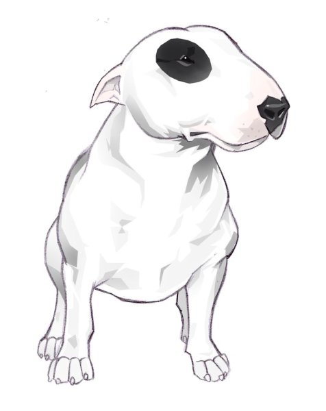 Бультерьер рисунок для срисовки