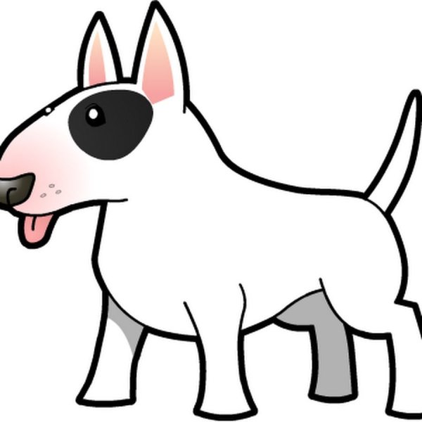 Бультерьер рисунок