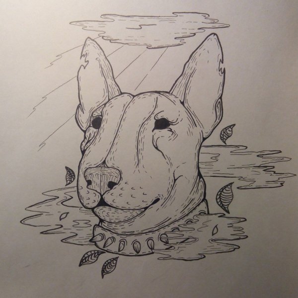 Бультерьер эскиз