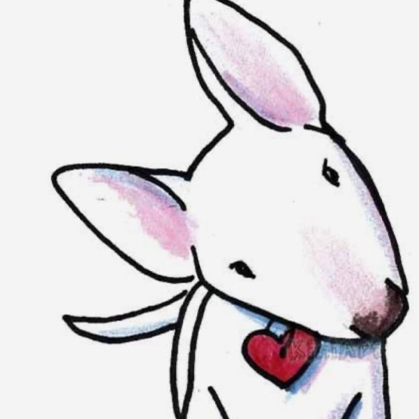 Бультерьер рисунок для срисовки