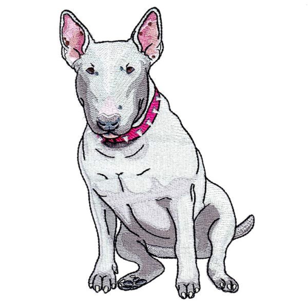 Оскар бультерьер