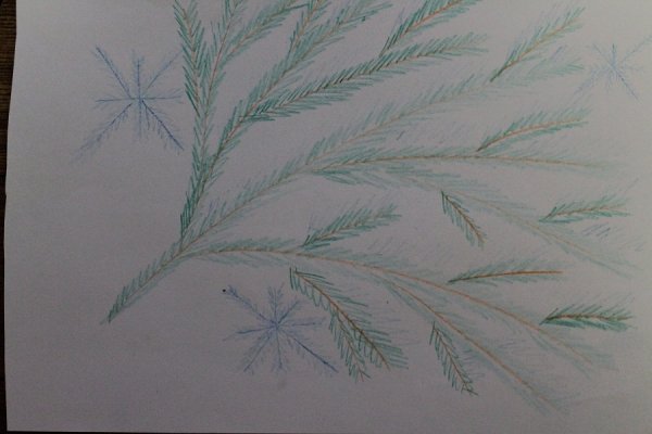 Рисование ветки сосны