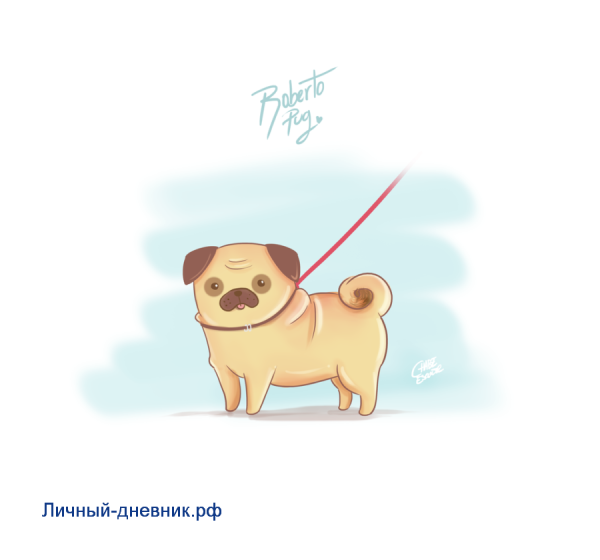 Мопс рисунок для срисовки