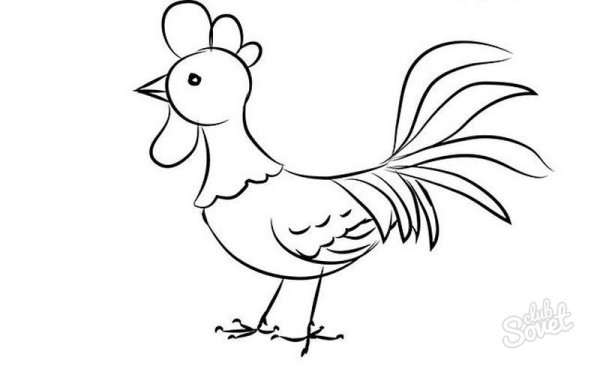 Поэтапное рисование петуха для дошкольников