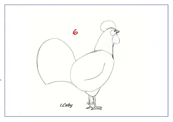Этапы рисования петуха