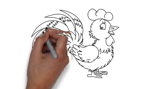 Нарисовать петуха карандашом