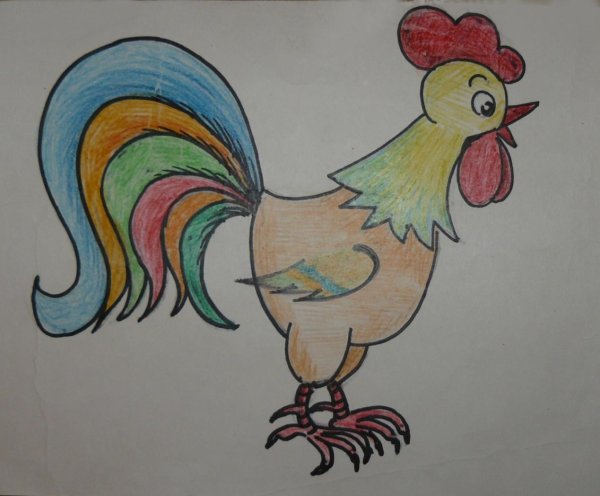 Петух рисунок карандашом