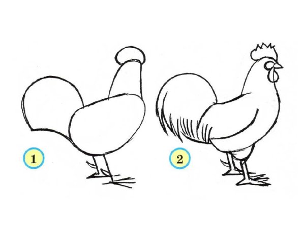 Нарисовать петуха