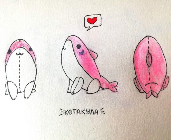 Рисунки для срисовки легкие одежда