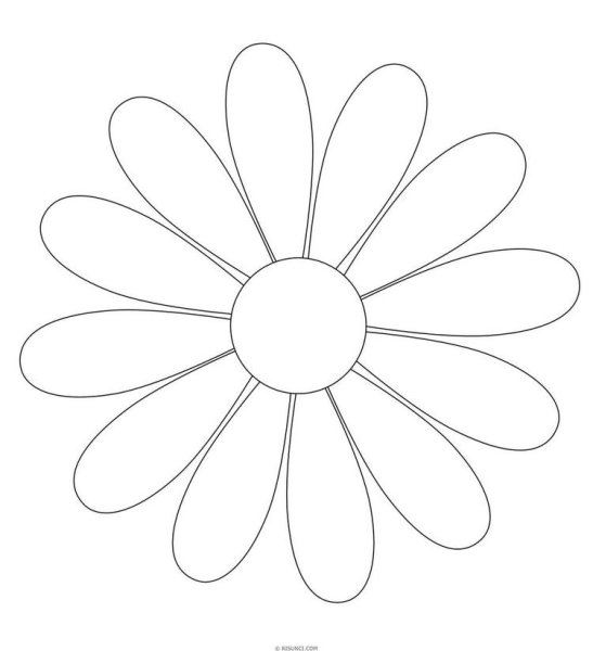 Ромашка рисунок карандашом