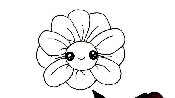 Ромашки карандашом для начинающих