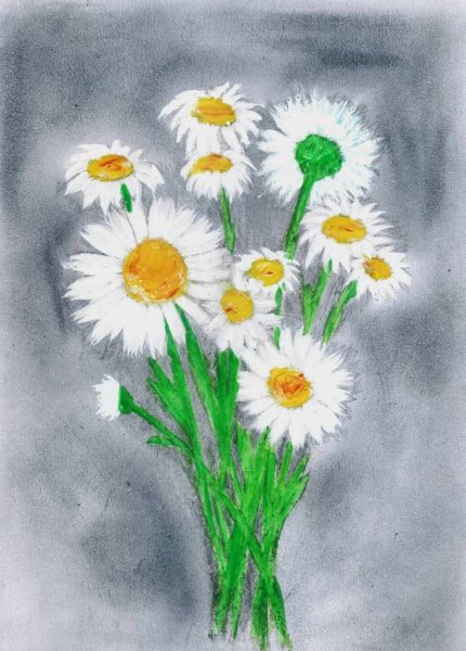 Ромашка карандашом