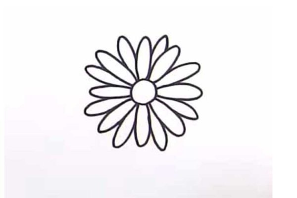 Ромашка карандашом для детей