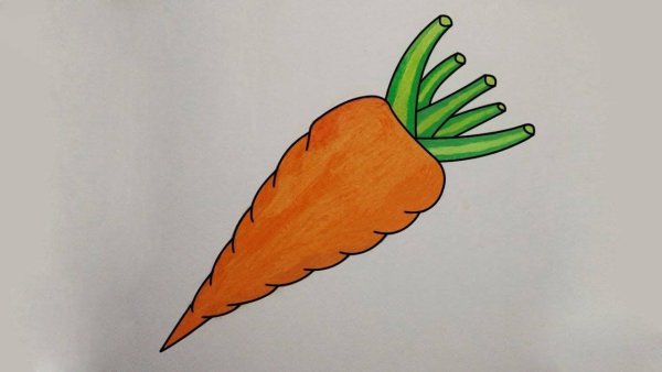 Морковка для рисования