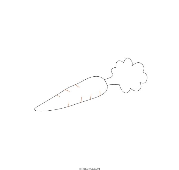 Морковка карандашом