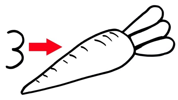 Поэтапное рисование морковки