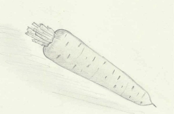 Морковь раскраска для детей