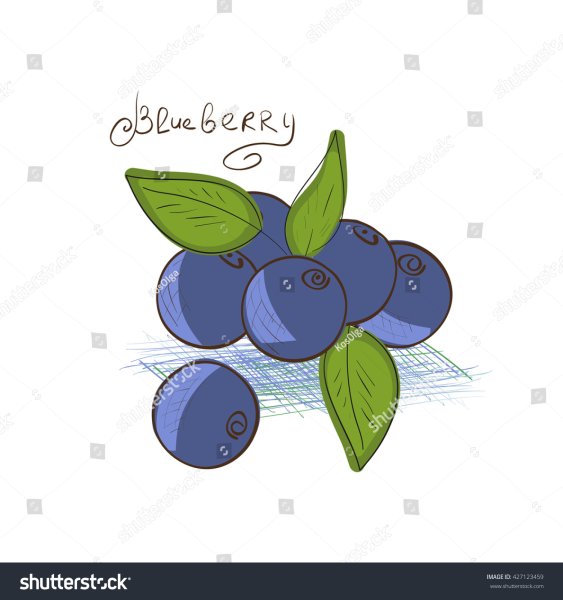 Аппликация черника