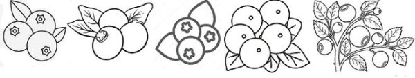 Поэтапное рисование черники для детей