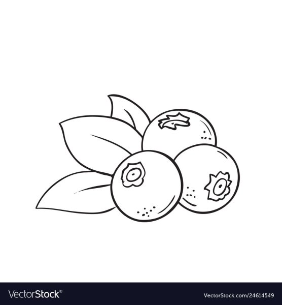 Черника маркерами