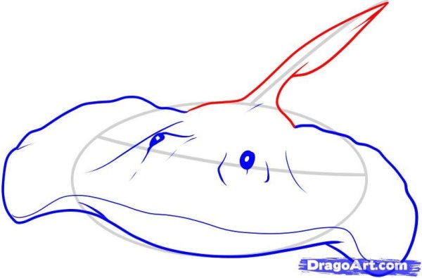 Рыба Скат раскраска