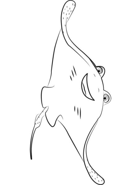 Скат орляк строение