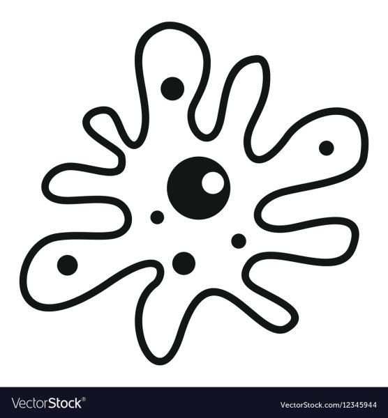 Раскраска амёба обыкновенная