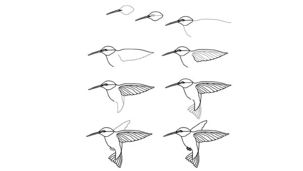 Птичка для срисовки карандашом и легкие