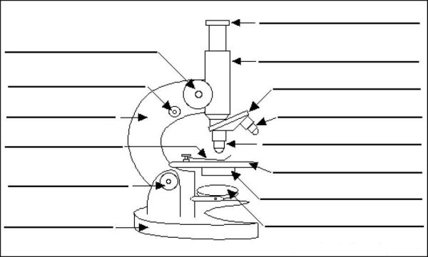 Строение микроскопа печатать