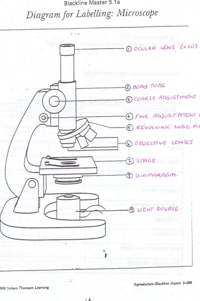 Микроскоп Микмед 5 схема