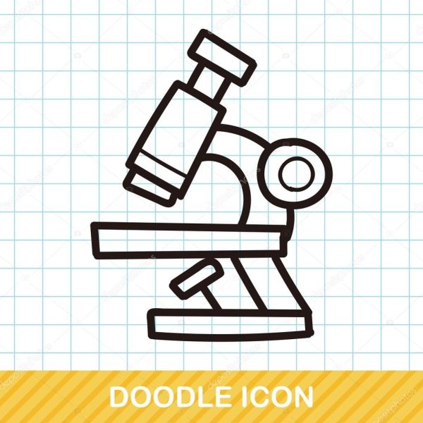 Микроскоп школьный схема