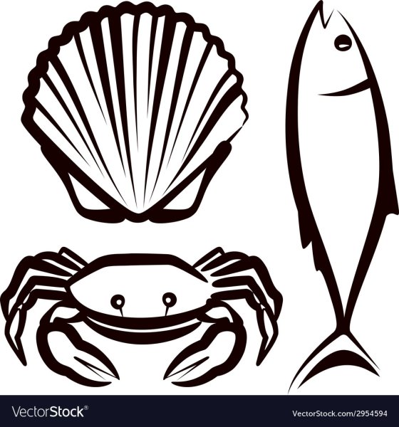 Морепродукты для срисовки
