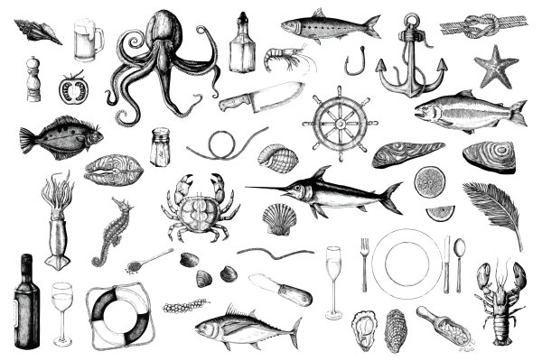 Рыба морепродукты вектор