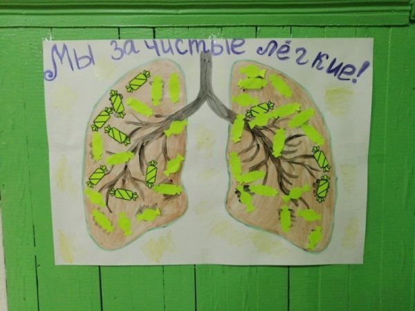 Рисунок на тему чистые легкие
