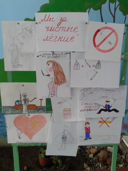 Плакаты легкие