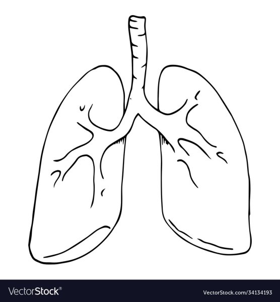 Рисунки мы за чистые лëгкие