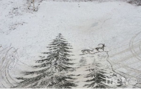 Рисование с детьми 3-4 лет на тему зима