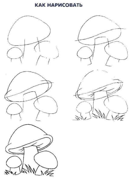 Рисунки грибов карандашом