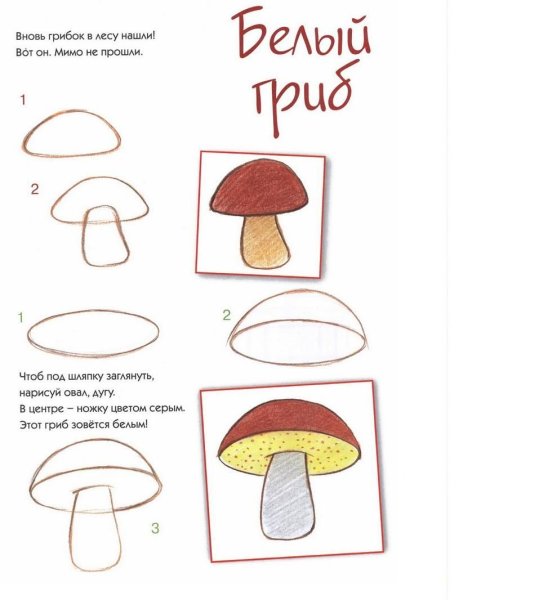 Поэтапное рисование гриба в старшей группе
