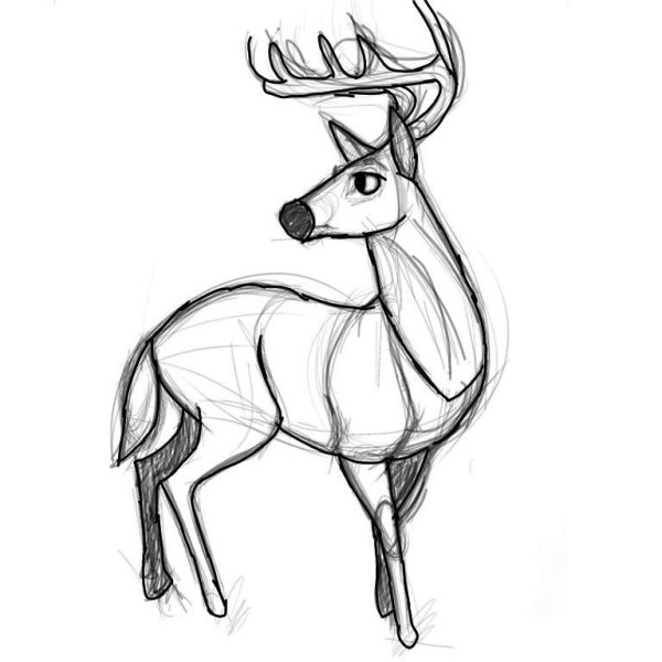Олень рисунок карандашом для детей