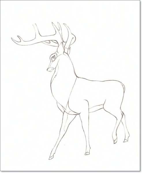Олень карандашом