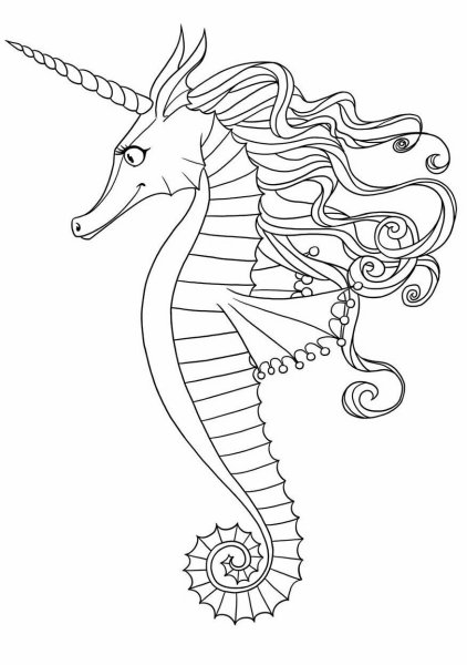 Поэтапное рисование морского конька