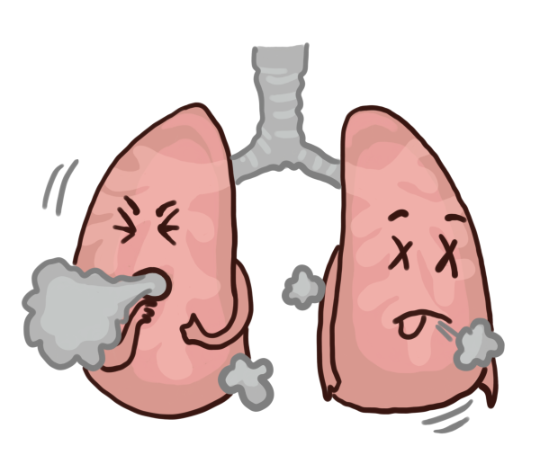 Здоровые легкие рисунок