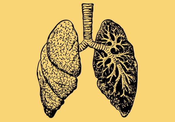 Легкие мультяшные