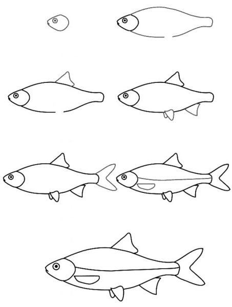 Рыбки для срисовки