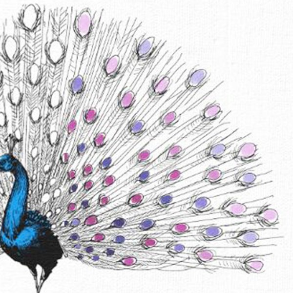 Павлин маркерами