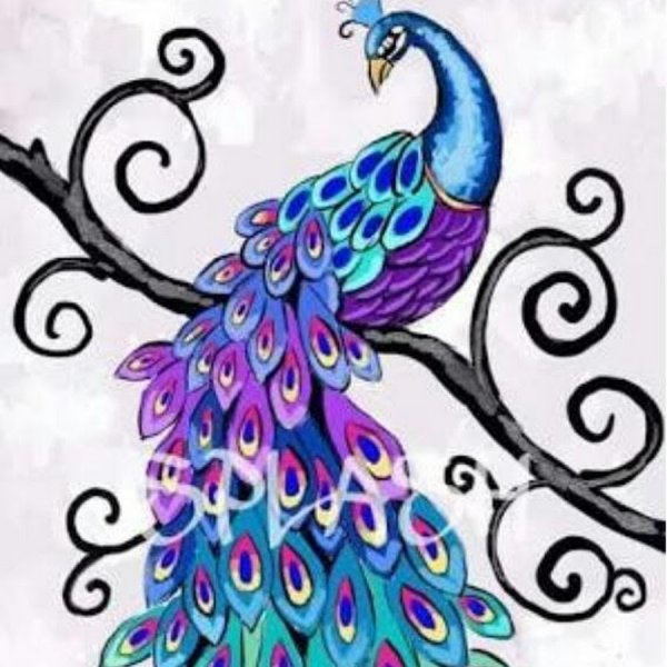 Схема рисования павлина для детей