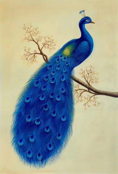 Павлин гуашью для детей